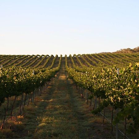 Mayfield Vineyard Ориндж Екстериор снимка