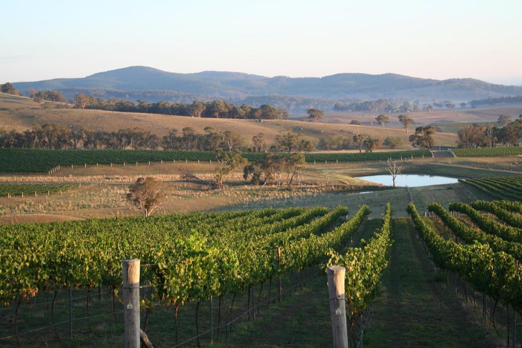 Mayfield Vineyard Ориндж Екстериор снимка