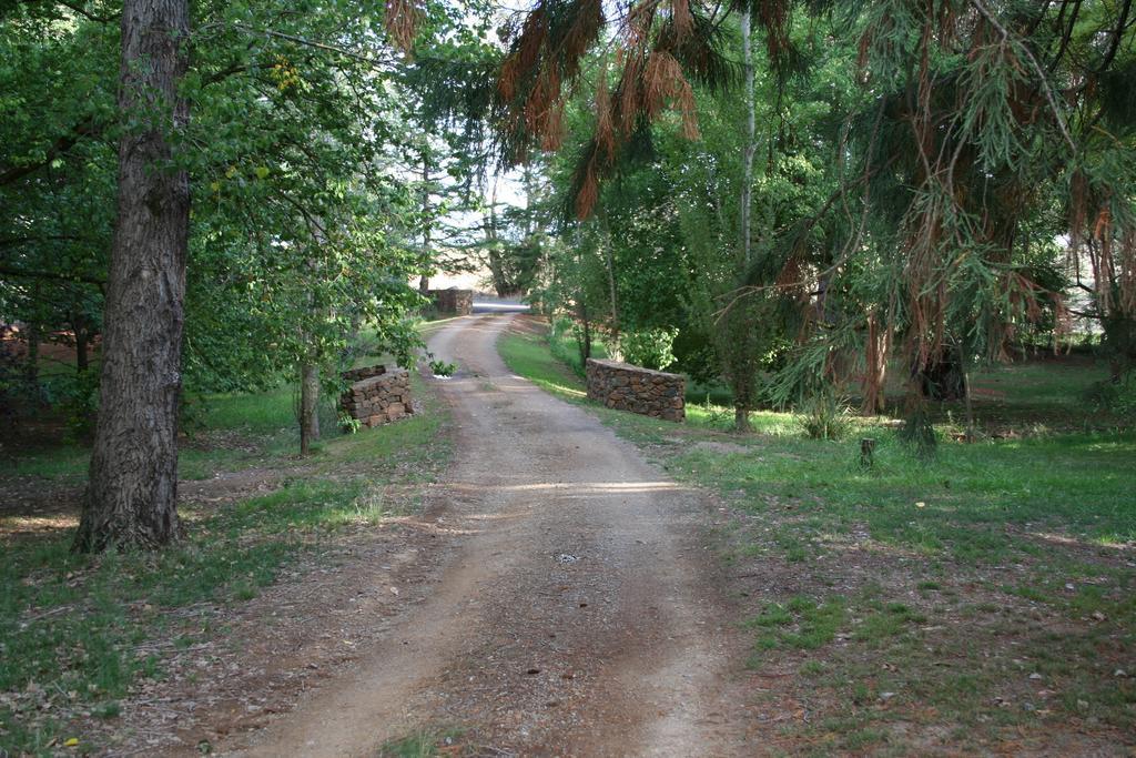 Mayfield Vineyard Ориндж Екстериор снимка