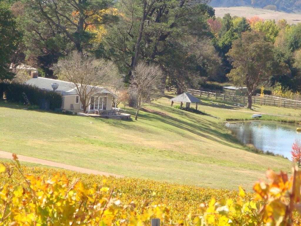 Mayfield Vineyard Ориндж Екстериор снимка