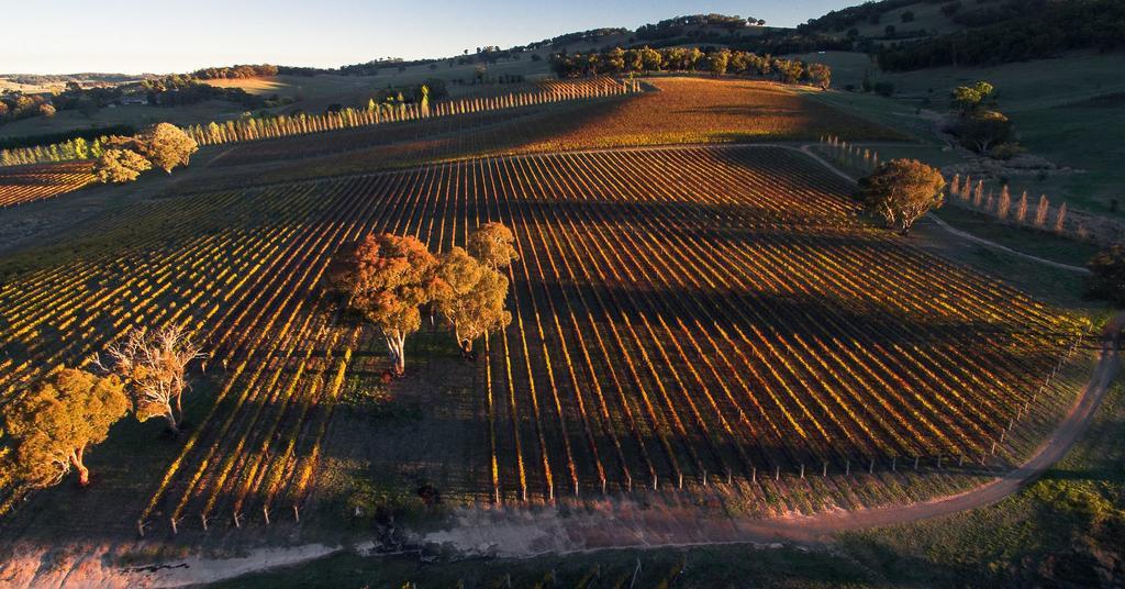 Mayfield Vineyard Ориндж Екстериор снимка